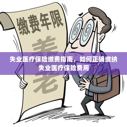 失业医疗保险缴费详解,如何正确缴纳费用指南-图1 失业医疗保险缴费详解,如何正确缴纳费用指南-图1