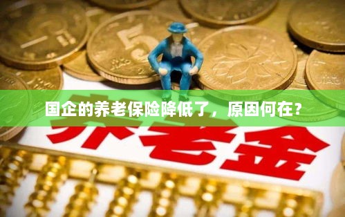 国企养老保险降低的原因探究-图1 国企养老保险降低的原因探究-图1