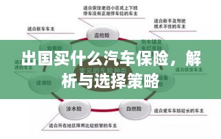 出国购车保险指南，解析与选择策略-图1