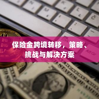 保险金跨境转移，策略、挑战及解决方案探讨-图1