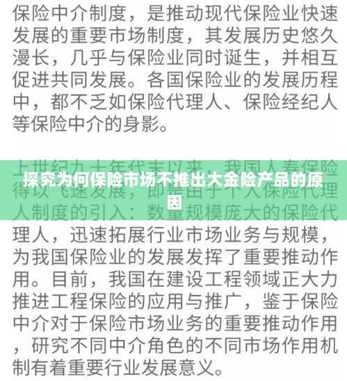 探究保险市场未推出大金险产品的原因分析-图1 探究保险市场未推出大金险产品的原因分析-图1