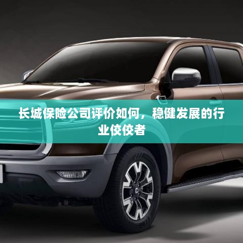 长城保险公司评价积极，行业稳健发展的佼佼者-图1
