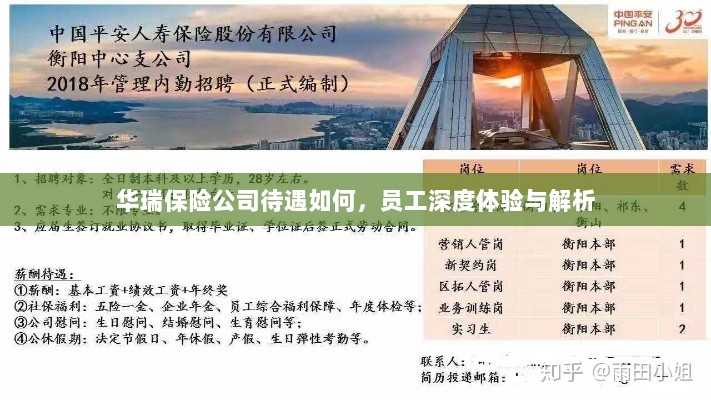 华瑞保险公司员工深度体验,待遇详解与解析-图1 华瑞保险公司员工深度体验,待遇详解与解析-图1