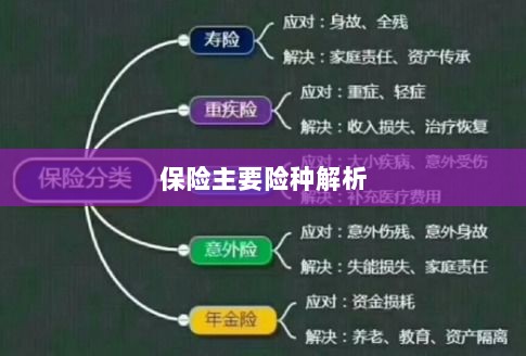 保险主要险种详解-图1 保险主要险种详解-图1