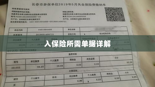 入保险必备单据解析-图1