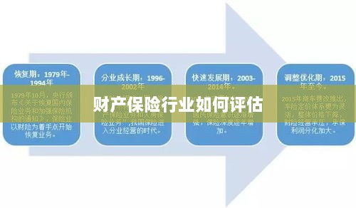 财产保险行业评估方法与策略解析-图1