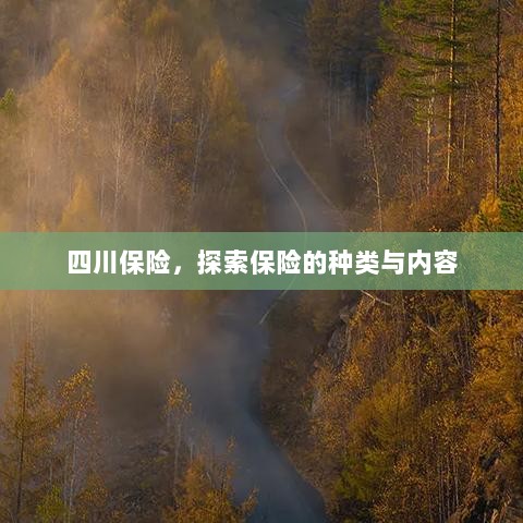 四川保险,探索保险种类与内容的全面解析-图1 四川保险,探索保险种类与内容的全面解析-图1