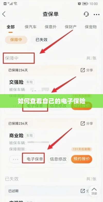 如何查看个人电子保险保单详情-图1 如何查看个人电子保险保单详情-图1