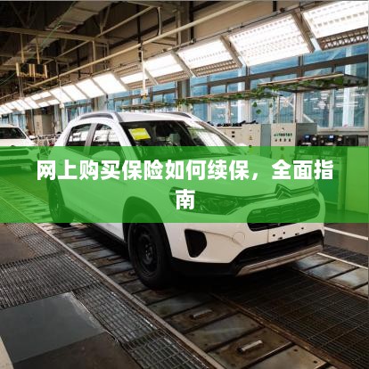 网上购买保险的续保指南，全面解析保险续保流程-图1