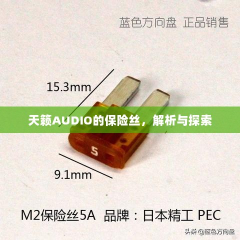 天籁AUDIO保险丝解析与探索-图1