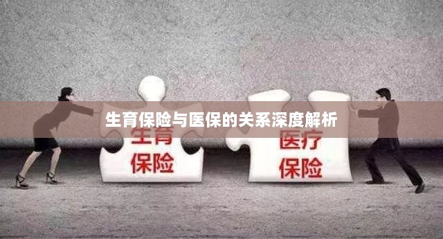 生育保险与医保关系的深度探讨-图1