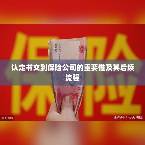 认定书对保险公司的重要性及后续流程详解-图1 认定书对保险公司的重要性及后续流程详解-图1