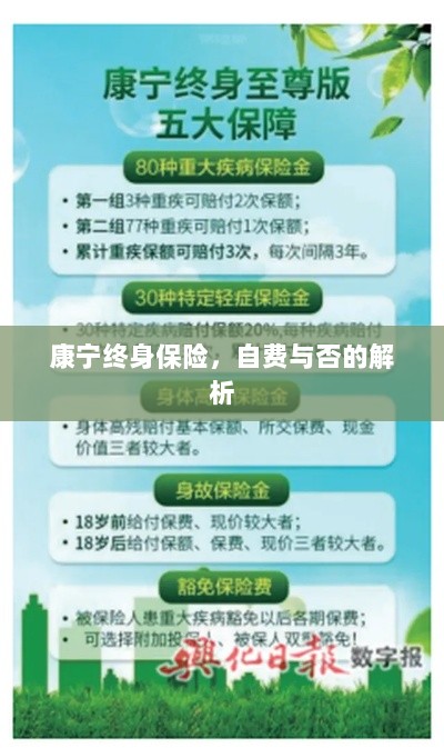 康宁终身保险，自费与否的详解-图1