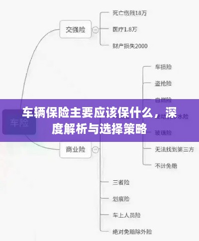 深度解析,车辆保险应该保什么及选择策略-图1 深度解析,车辆保险应该保什么及选择策略-图1