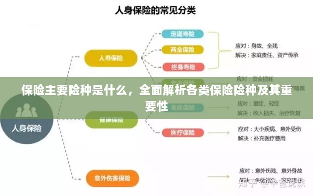 全面解析保险主要险种及其重要性介绍-图1 全面解析保险主要险种及其重要性介绍-图1