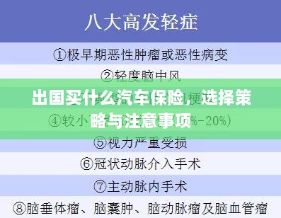 出国购车保险指南,选择策略与注意事项-图1 出国购车保险指南,选择策略与注意事项-图1