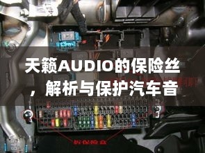 天籁AUDIO保险丝,解析与汽车音频系统保护的关键要素-图1 天籁AUDIO保险丝,解析与汽车音频系统保护的关键要素-图1