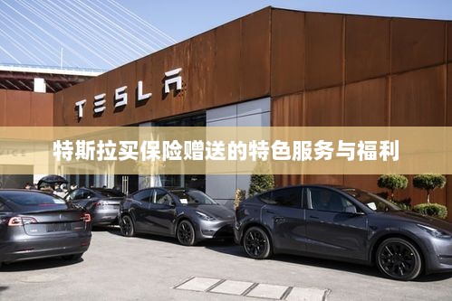 特斯拉保险特惠,独家特色服务与丰厚赠品等你来享-图1 特斯拉保险特惠,独家特色服务与丰厚赠品等你来享-图1