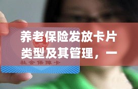 养老保险发放卡片类型与管理,保障与责任的承载之卡-图1 养老保险发放卡片类型与管理,保障与责任的承载之卡-图1