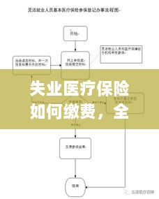 全面解读失业医疗保险缴费流程与注意事项-图1 全面解读失业医疗保险缴费流程与注意事项-图1