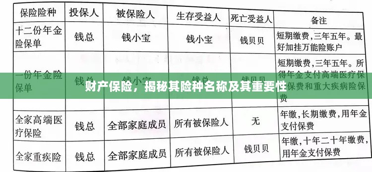 揭秘财产保险险种名称及其重要性,保障您的财产安全!-图1 揭秘财产保险险种名称及其重要性,保障您的财产安全!-图1