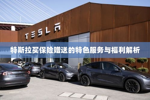 特斯拉保险赠品特色服务与福利深度解析-图1
