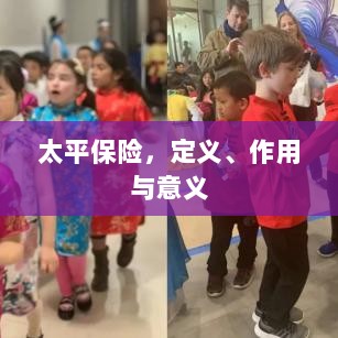 太平保险,定义、功能及其重要性-图1 太平保险,定义、功能及其重要性-图1