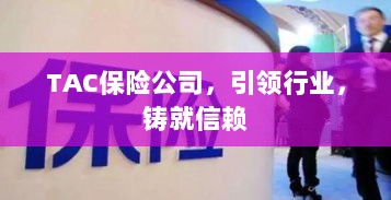 TAC保险公司，行业引领，信赖之选-图1