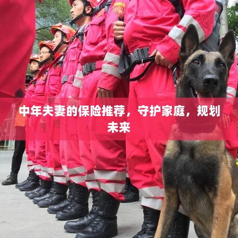 中年夫妻必备保障，守护家庭，规划未来的保险推荐-图1