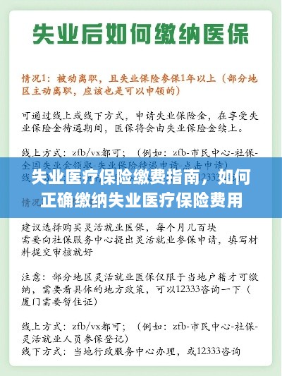 失业医疗保险缴费详解，如何正确缴纳费用指南-图1