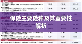 保险主要险种及其重要性深度解析-图1