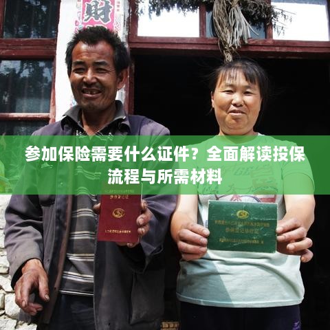 投保全攻略，保险所需证件及流程详解-图1