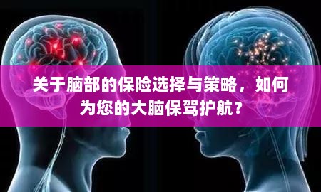 如何选择合适的脑部保险，为您的大脑保驾护航？-图1
