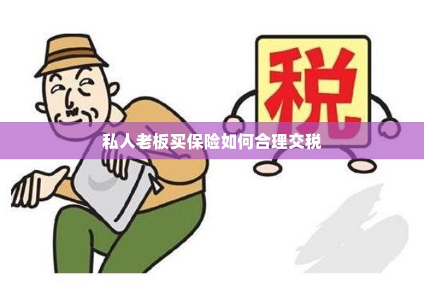 私人老板如何合理购买保险并交税指南-图1