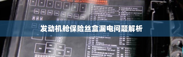 发动机舱保险丝盒漏电问题深度解析-图1