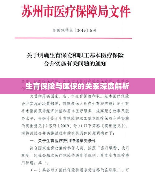 生育保险与医保关系的深度探讨-图1
