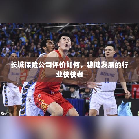 长城保险公司评价积极,行业稳健发展的佼佼者-图1 长城保险公司评价积极,行业稳健发展的佼佼者-图1