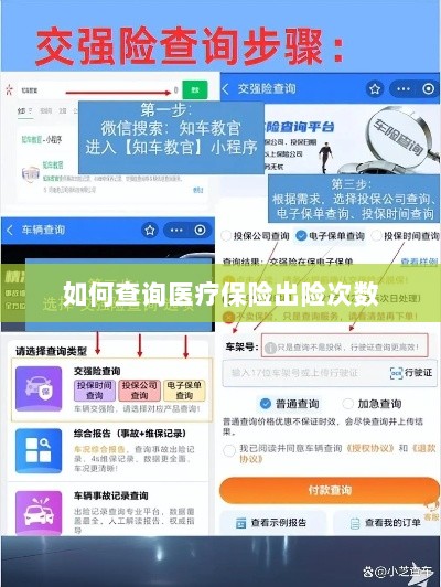 医疗保险出险次数查询攻略-图1 医疗保险出险次数查询攻略-图1