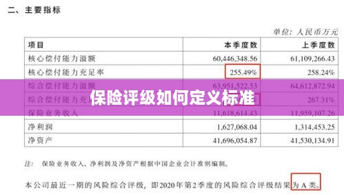 保险评级标准定义解析-图1