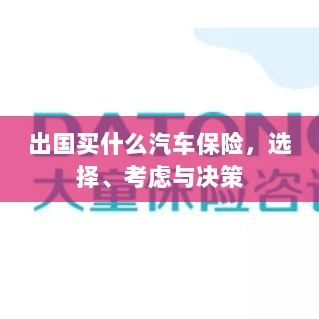 出国购车保险指南，选择、考虑与决策要素-图1