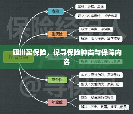 四川保险探秘,种类与保障内容全解析-图1 四川保险探秘,种类与保障内容全解析-图1