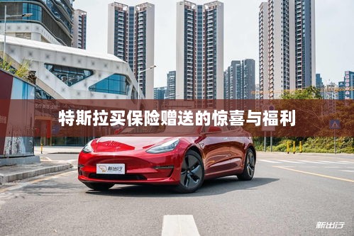 特斯拉保险购买赠品与惊喜福利概述-图1 特斯拉保险购买赠品与惊喜福利概述-图1