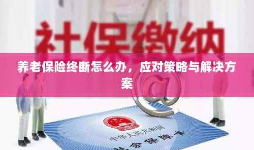 养老保险中断应对指南，解决方案与策略-图1