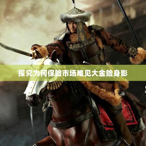 大金险在保险市场难觅踪迹的探究-图1 大金险在保险市场难觅踪迹的探究-图1