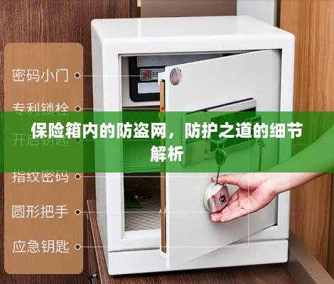 保险箱内防盗网，细节解析与防护之道-图1