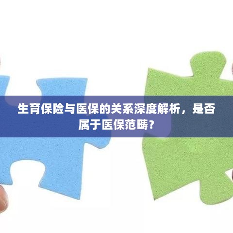 生育保险与医保深度关联解析，究竟是否属于医保范畴？-图1