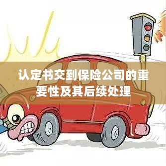 认定书交到保险公司的重要性及后续处理流程详解-图1