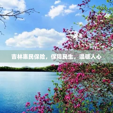 吉林惠民保险，守护民生，温情满人心-图1