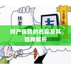 财产保险名称及险种深度解析-图1