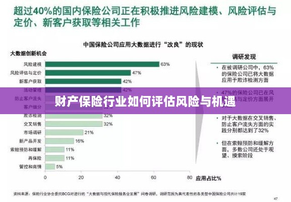 财产保险行业风险与机遇的评估策略-图1